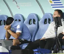 IM电子竞技-阿雅克肖vs巴黎fc结果